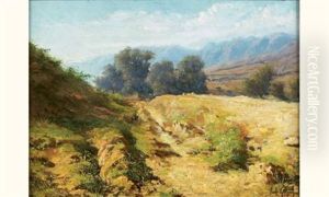 Paysage Paysage