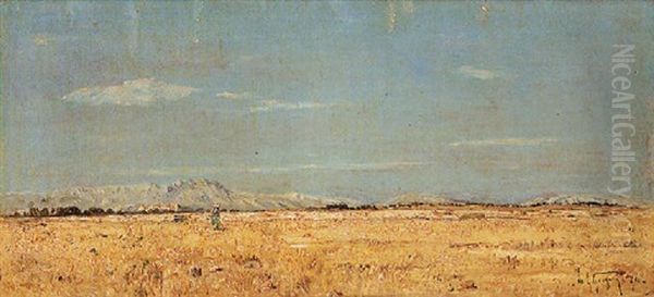 Paysage Des Alpilles - view 1