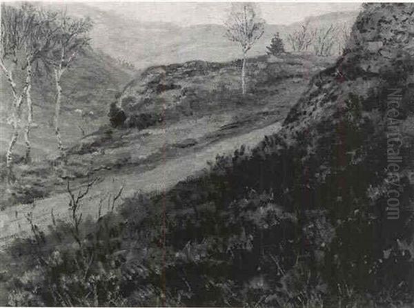 Sentier Dans Un Paysage Vallonne - view 1
