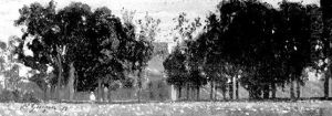 Le Mas Derriere Les Arbres by Paul Camille Guigou