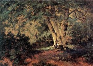 L'arbre Aux Trois Troncs L'arbre Aux Trois Troncs