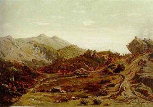Les Collines De Saint-loup Les Collines De Saint-loup
