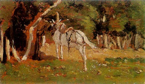 Cheval Blanc Harnache Pres D'un Arbre - view 1