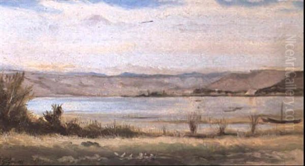 Bords De La Durance - view 1