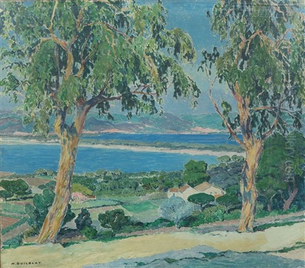 Eucalyptus, Giens - view 1