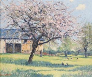 Pommier En Fleurs, Effet Du Matin