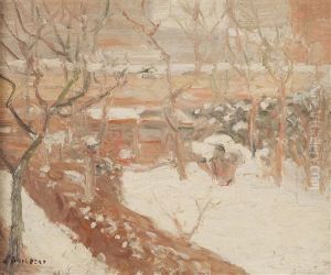 Neige Au Jardin