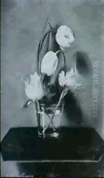 Still Life Of Tulips - view 1