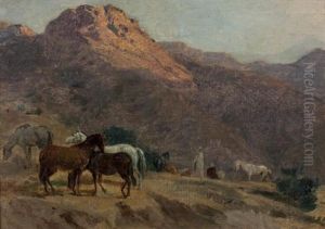 Chevaux Arabes Chevaux Arabes