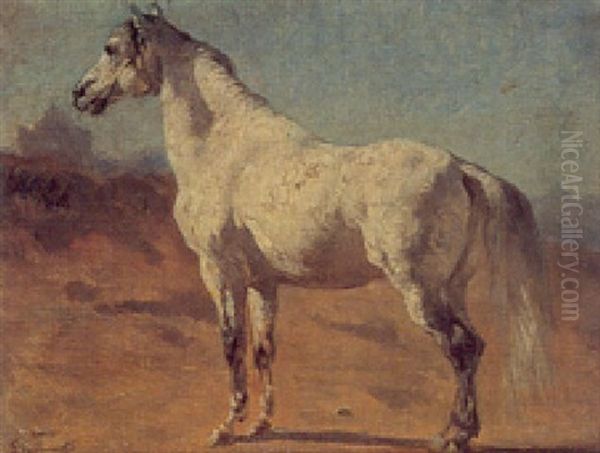 Cheval Barbe Dans Paysage Oriental - view 1