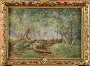 Sous-bois