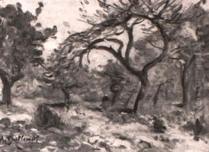 Figure In A Forest Clearing Figure In A Forest Clearing