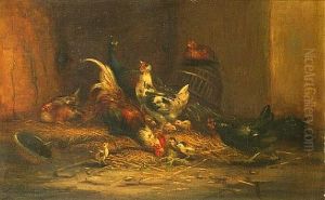 Chickens And Chicks In A Barn