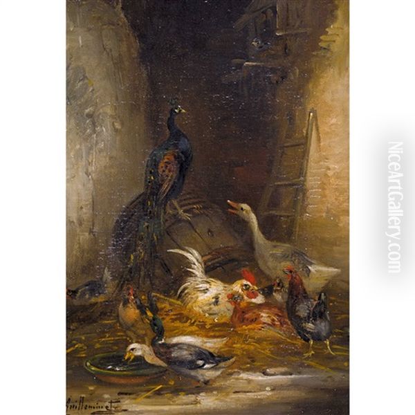 Huhnerhof Mit Enten Und Pfau - view 1