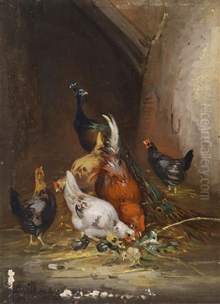 Huhner Und Ein Pfau - view 1