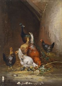 Huhner Und Ein Pfau by Claude Guilleminet
