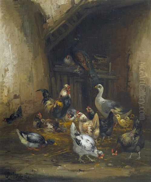 Huhnerstall Mit Einem Pfau - view 1