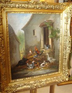 Poules A La Ferme
