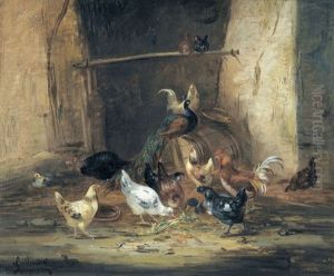 Huhner Im Stall Mit Pfau