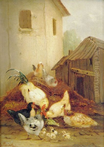 Farmyard Scene With Poultry And Ducks - view 1