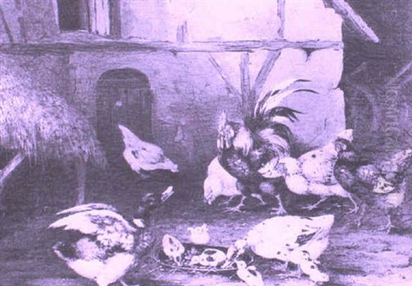 Poultry And Ducks In A Farmyard - view 1