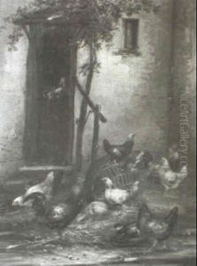 Coqs, Poules Et Canards