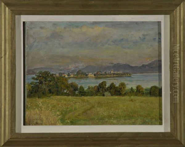 Chiemseelandschaft Mit Blick Auf Die Fraueninsel An Einem Sommertag - view 1