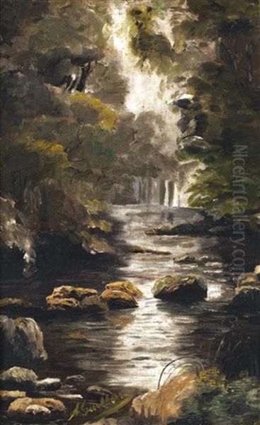 Riviere - view 1