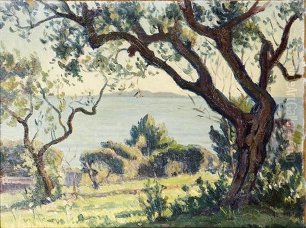 Arbre En Bord De Mer - view 1