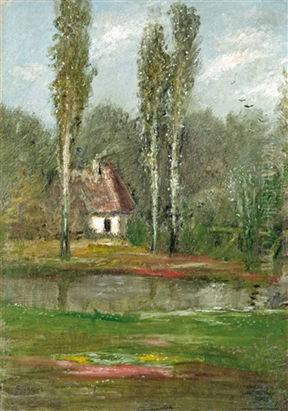 House Between The Trees - view 1