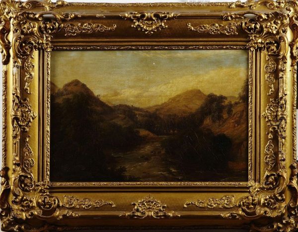 Bergslanskap - view 1