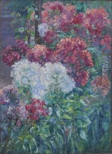 Bluhender Phlox by Anna Gumlich-Kempf