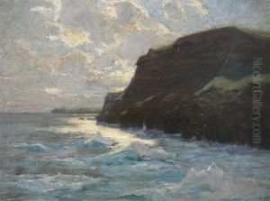 Abendlicht An Der Kuste