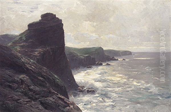 Steilkuste Am Meer Im Sonnigen Morgenlicht - view 1