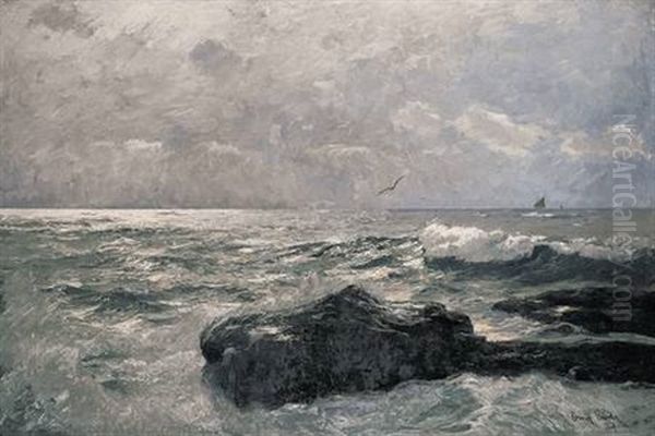 Besonntes Uferstuck Mit Fels, Segelbooten Und Mowen - view 1