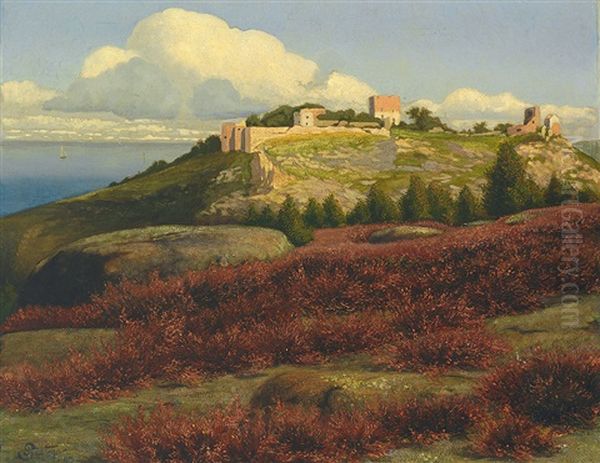 Ruine Hammershus Auf Bornholm - view 1