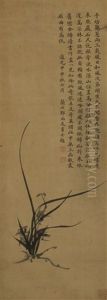 Untitled (flowering Orchid Plant)