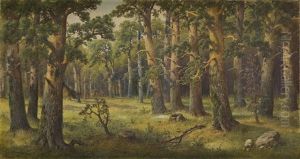 Forest Forest