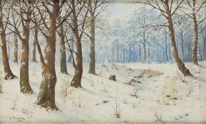 Winter Forest Winter Forest