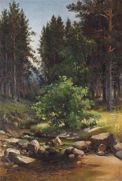 A Forest Stream - view 1