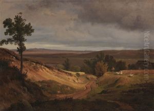 Heidelandschaft Bei Silkeborg In Jutland, Danemark
