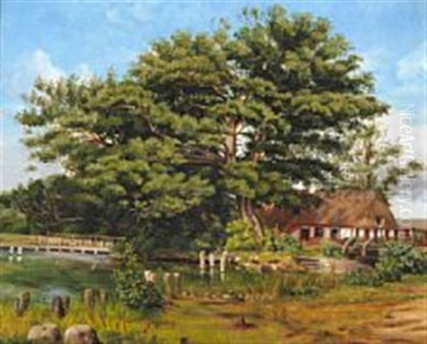 Landscape Near Silkeborg - view 1