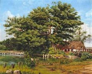 Landscape Near Silkeborg