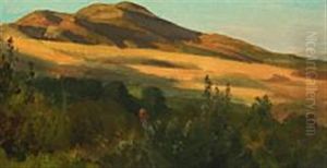 Summerlandscape With Wanderer
