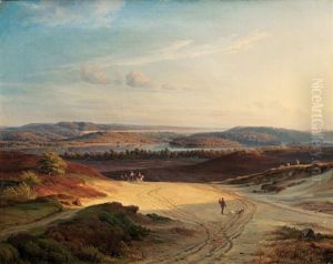 Panoramic View Of Silkeborg Langso