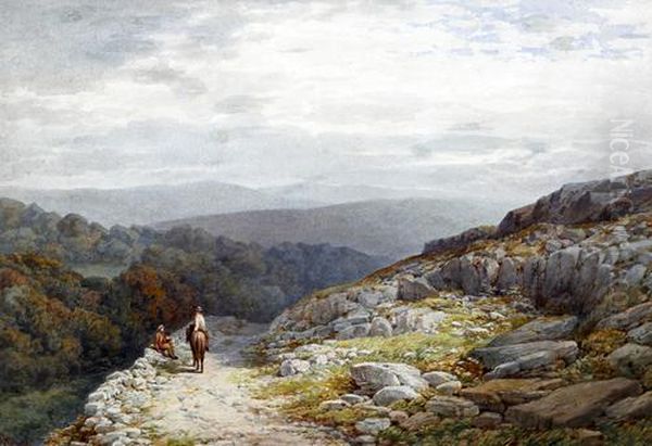 In The Lledr Valley - view 1