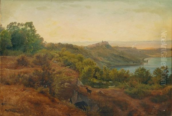 In The Colli Albani - view 1