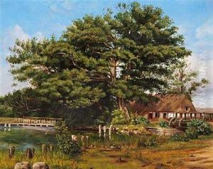 Landskab Naer Silkeborg