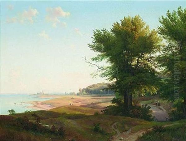 Weite Sommerliche Landschaft Am Ufer Des Gardasees - view 1
