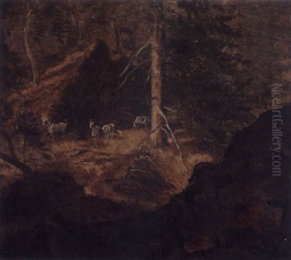 Geiter I Granskog - view 1